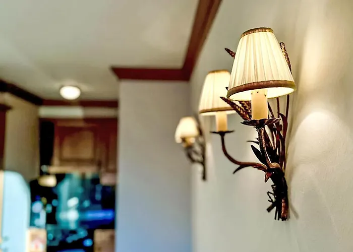 Apartment Les Renardeaux 5 By Interhome Crans-Montana